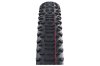 SCHWALBE Reifen RACING RALPH Evo, Super Race, TLE